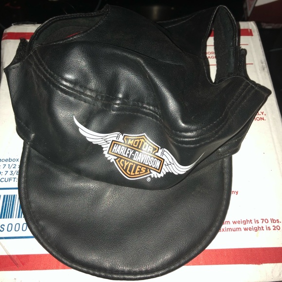 Harley-Davidson | Dog | Harley Davidson 